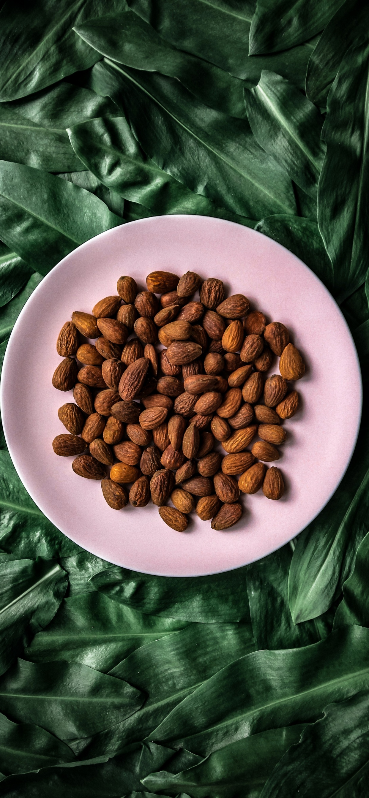 Nut, Fedwell Senopati, Food, Single-origin Coffee, Ingredient. Wallpaper in 1242x2688 Resolution