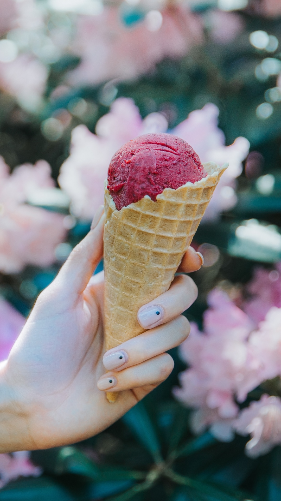 Person Holding Ice Cream Cone With Pink Flower Petals. Wallpaper in 1080x1920 Resolution