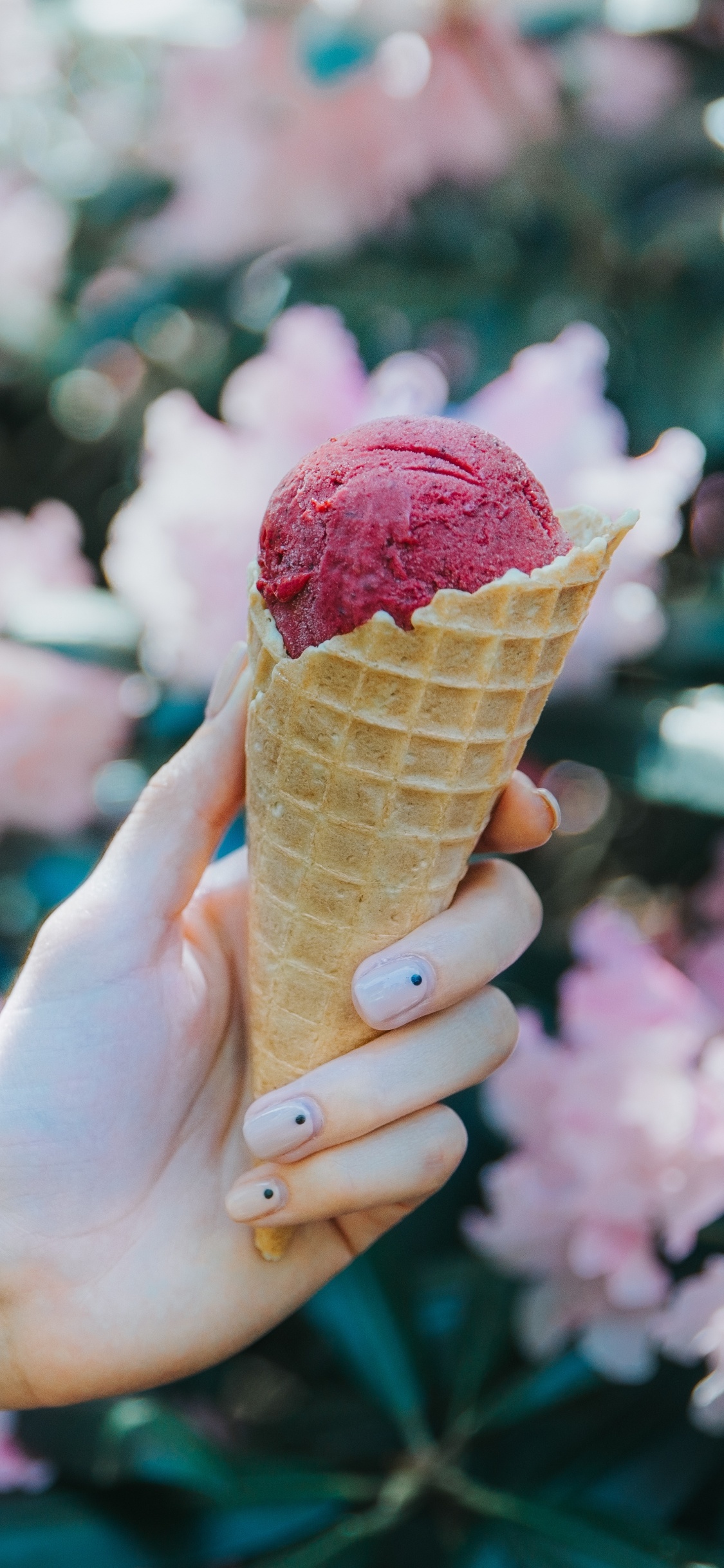 Person Holding Ice Cream Cone With Pink Flower Petals. Wallpaper in 1125x2436 Resolution