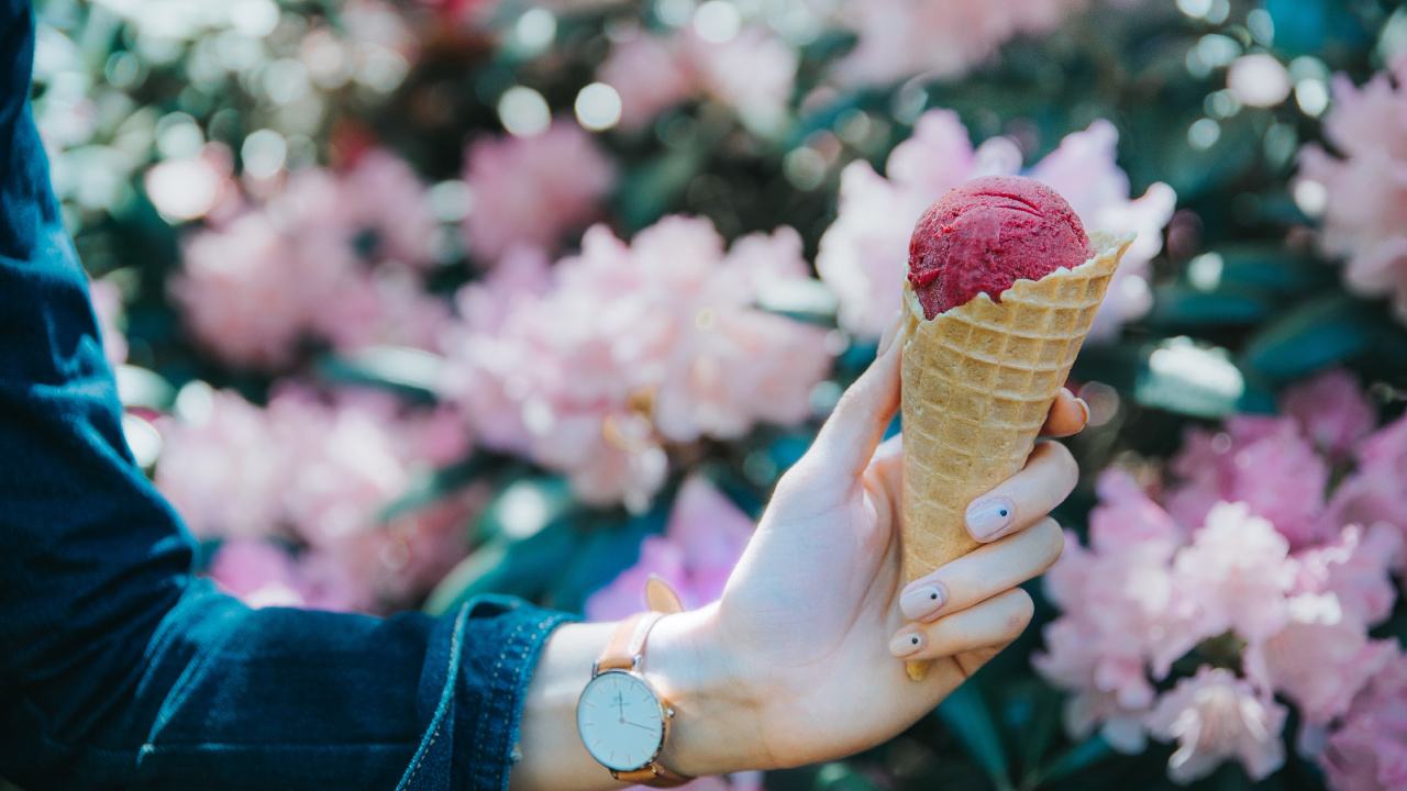 Person Holding Ice Cream Cone With Pink Flower Petals. Wallpaper in 1280x720 Resolution