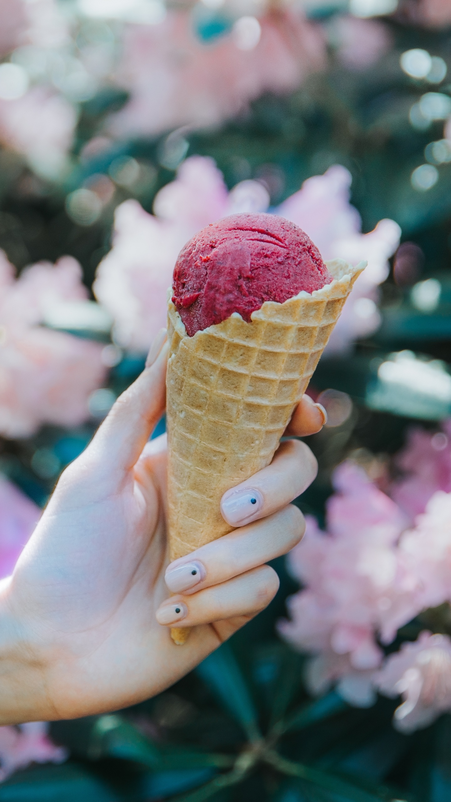 Person Holding Ice Cream Cone With Pink Flower Petals. Wallpaper in 1440x2560 Resolution