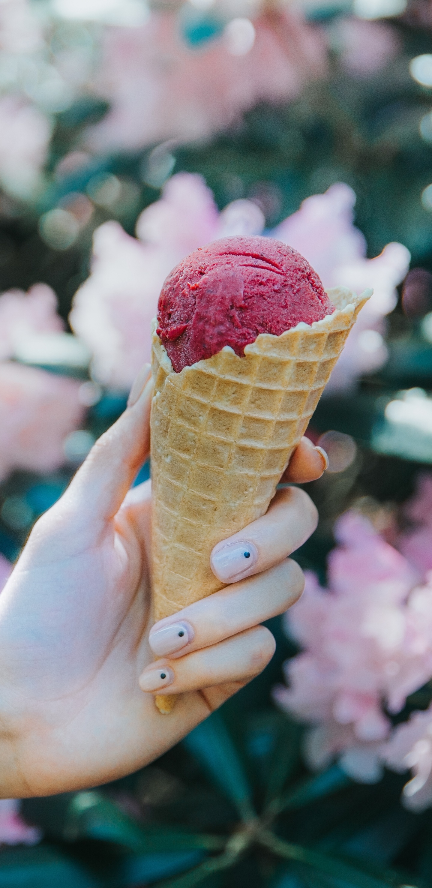 Person Holding Ice Cream Cone With Pink Flower Petals. Wallpaper in 1440x2960 Resolution