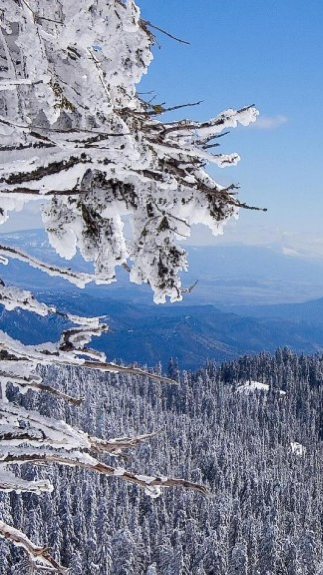 Snow Covered Trees and Mountains During Daytime. Wallpaper in 1080x1920 Resolution