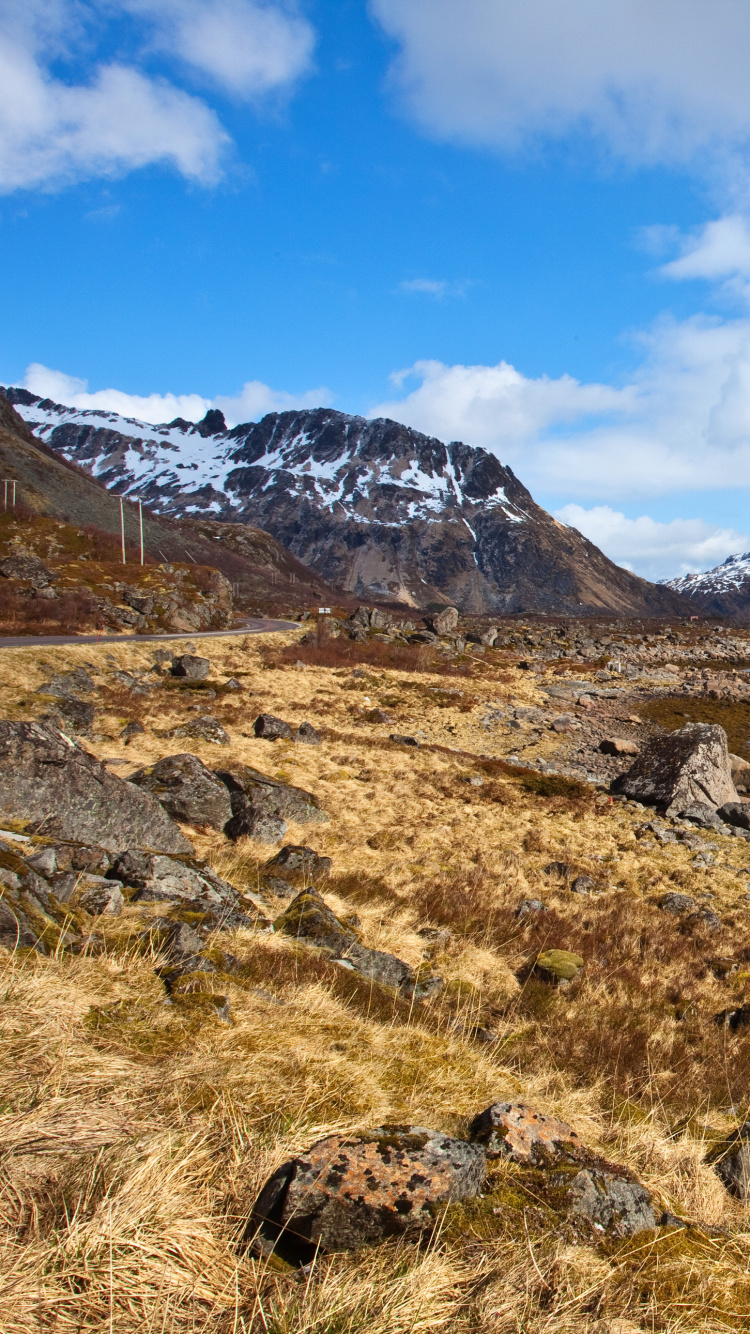 Green Grass Field Near Body of Water and Mountains Under Blue Sky During Daytime. Wallpaper in 750x1334 Resolution