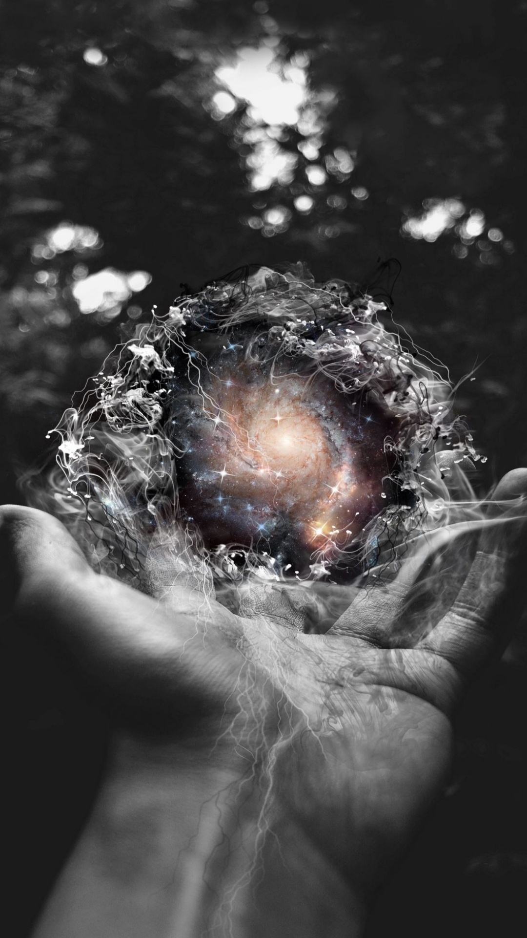 Wasser, Baum, Gras, Astronomisches Objekt, Kreis. Wallpaper in 1080x1920 Resolution