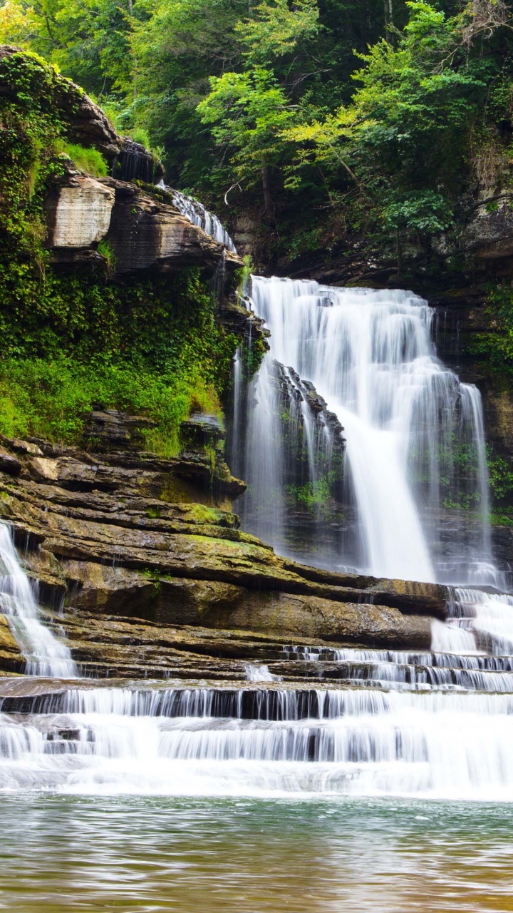 Waterfalls in The Middle of The Forest. Wallpaper in 720x1280 Resolution