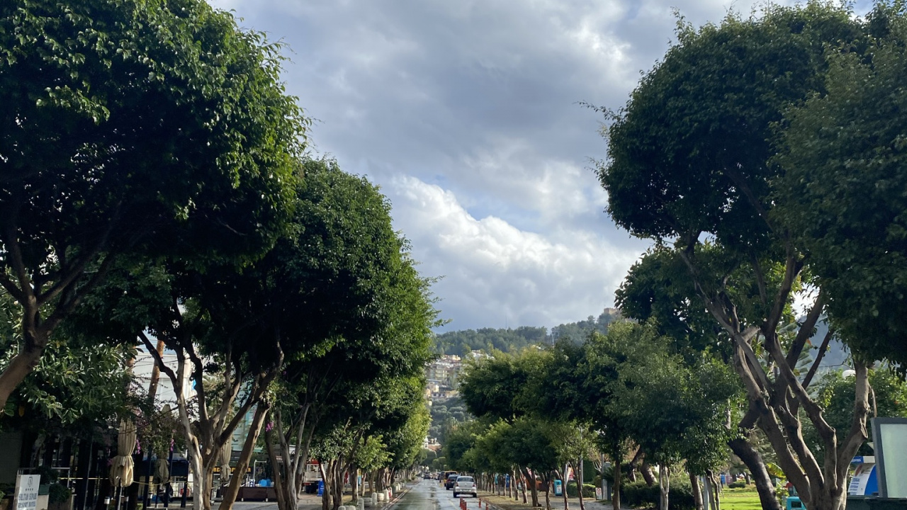 Road Surface, Walkway, Cloud, Plant, Asphalt. Wallpaper in 1280x720 Resolution