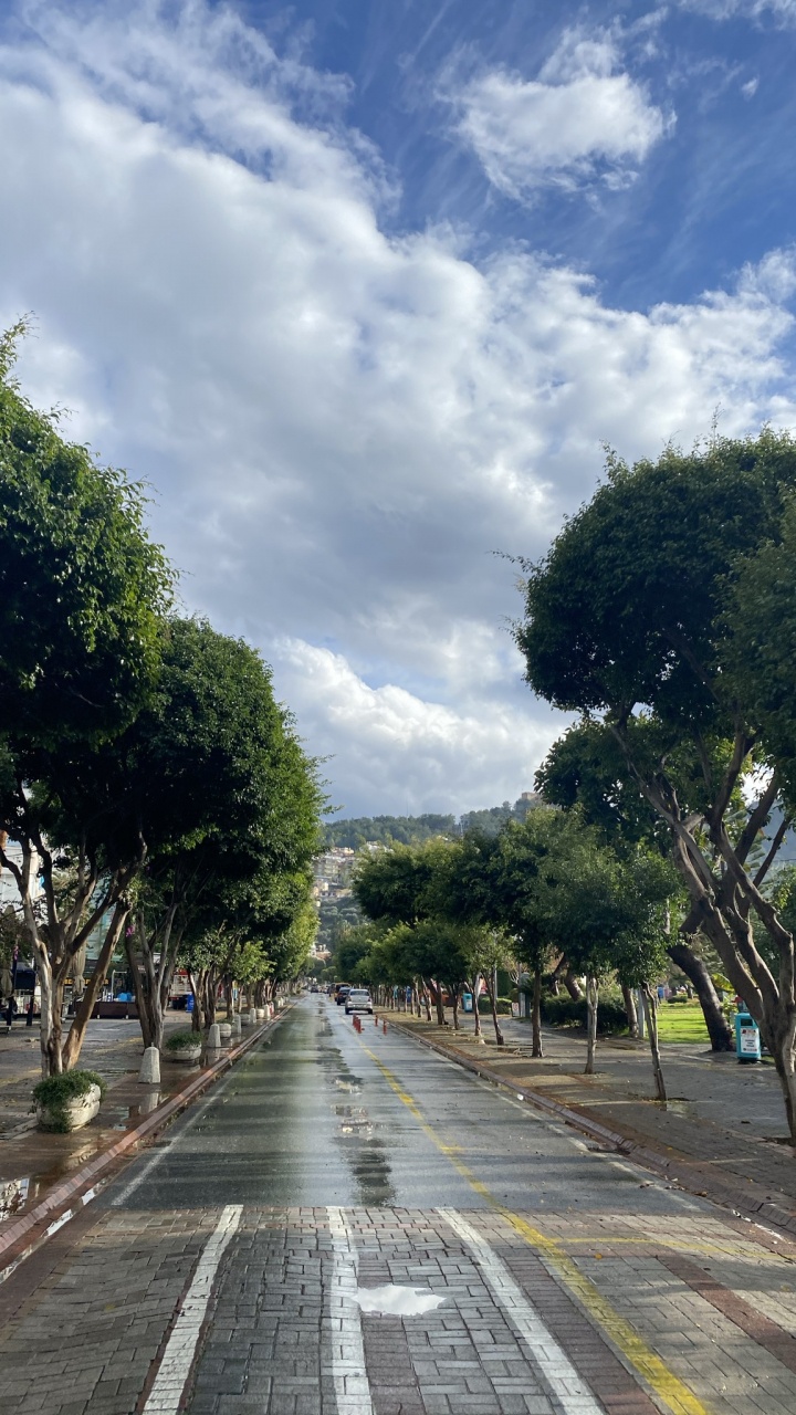 Road Surface, Walkway, Cloud, Plant, Asphalt. Wallpaper in 720x1280 Resolution