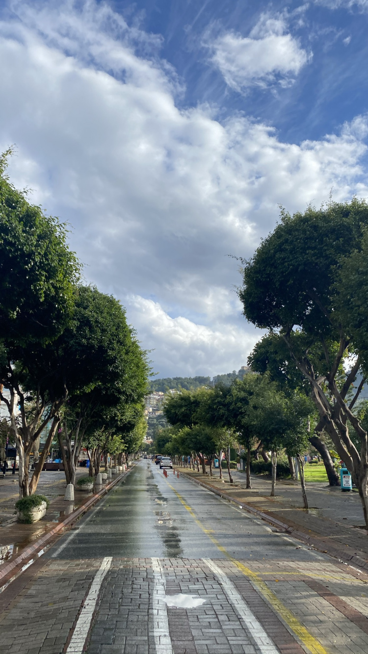 Road Surface, Walkway, Cloud, Plant, Asphalt. Wallpaper in 750x1334 Resolution