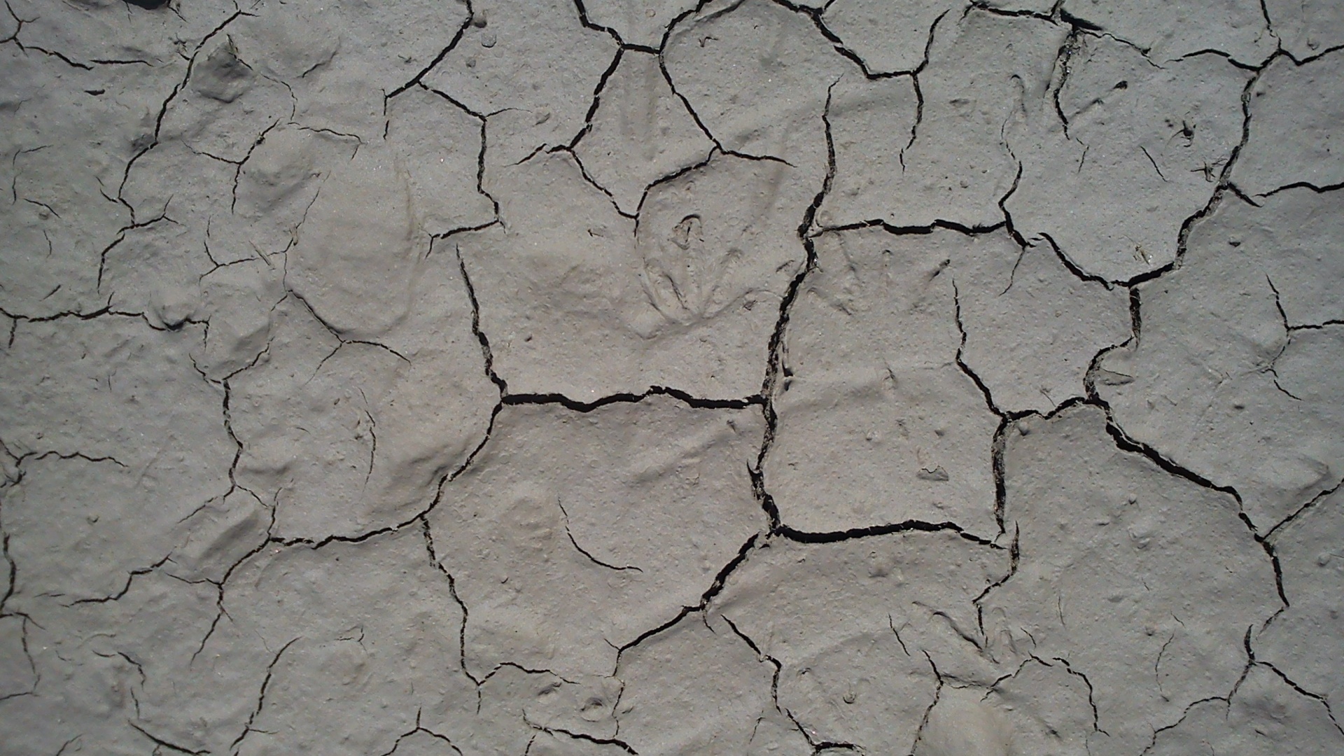 Peinture Abstraite Blanche et Bleue. Wallpaper in 1920x1080 Resolution