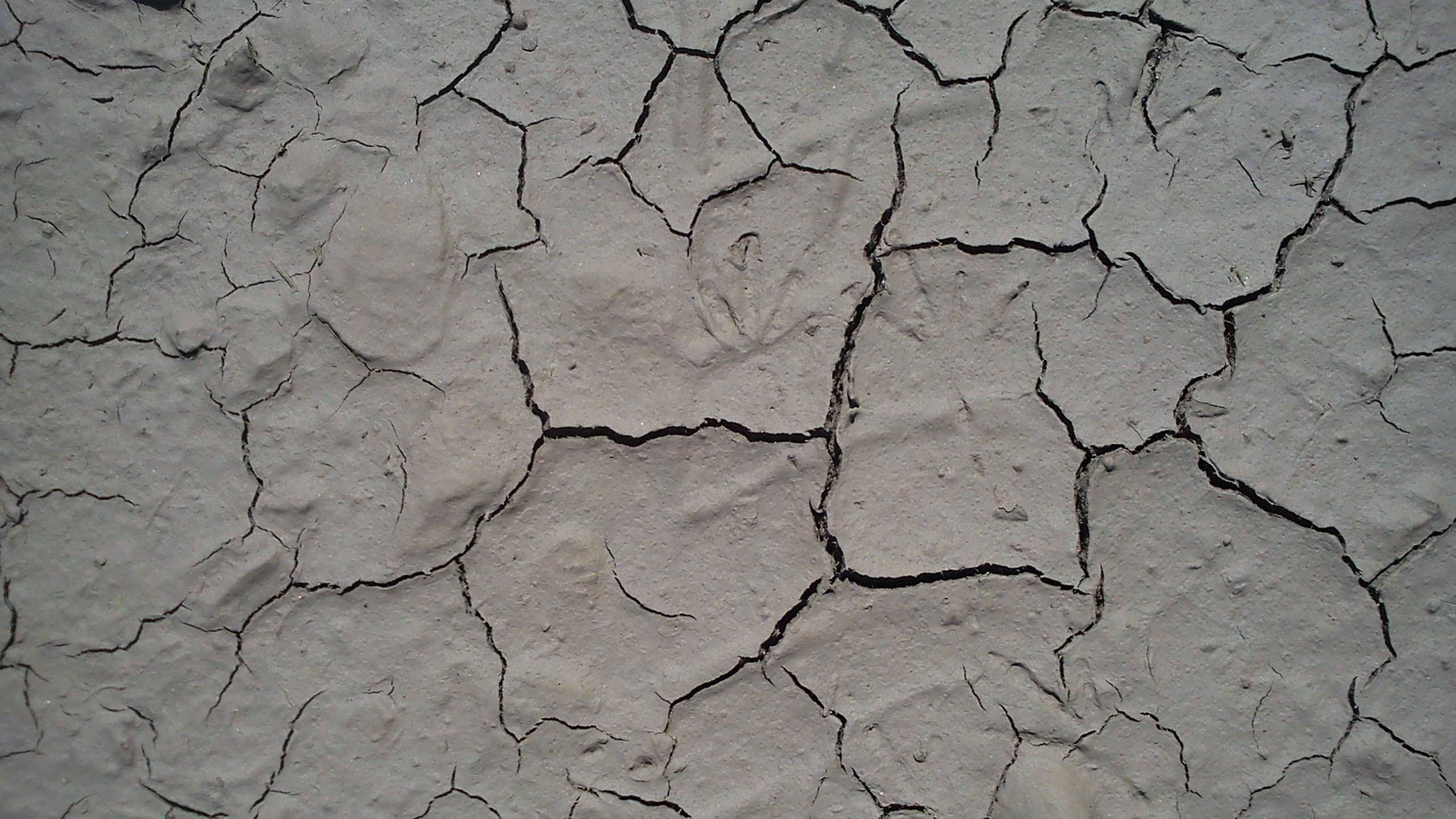 Peinture Abstraite Blanche et Bleue. Wallpaper in 2560x1440 Resolution