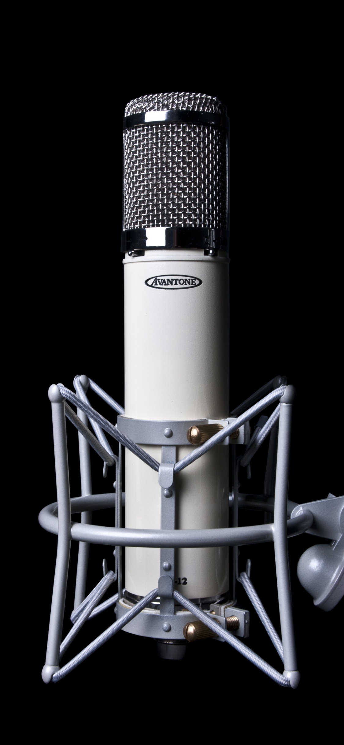 Microphone à Condensateur Noir et Argent. Wallpaper in 1125x2436 Resolution