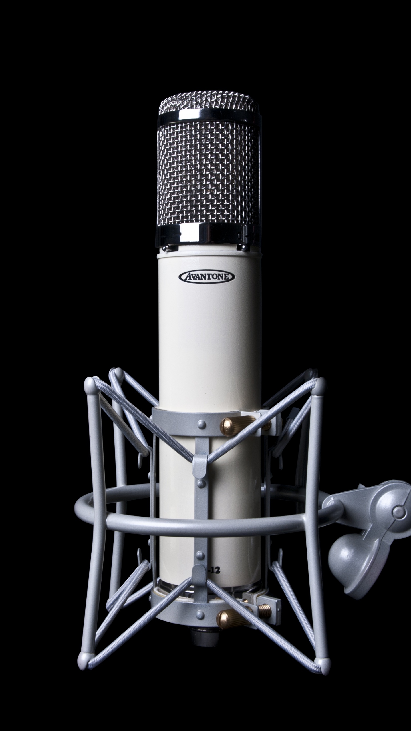 Microphone à Condensateur Noir et Argent. Wallpaper in 1440x2560 Resolution
