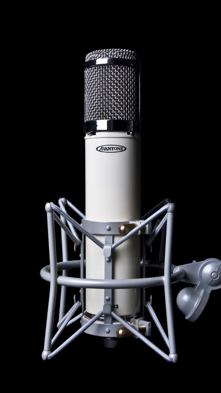 Microphone à Condensateur Noir et Argent. Wallpaper in 720x1280 Resolution