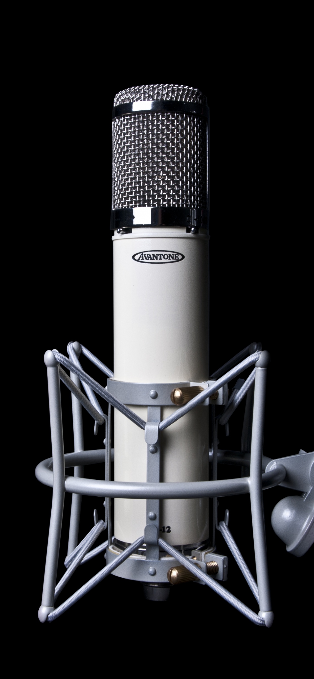 Black and Silver Condenser Microphone. Wallpaper in 1242x2688 Resolution