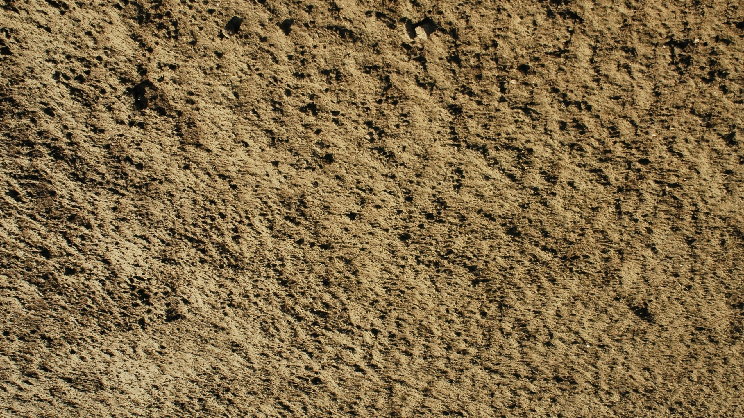 Brauner Und Schwarzer Teppich. Wallpaper in 2560x1440 Resolution