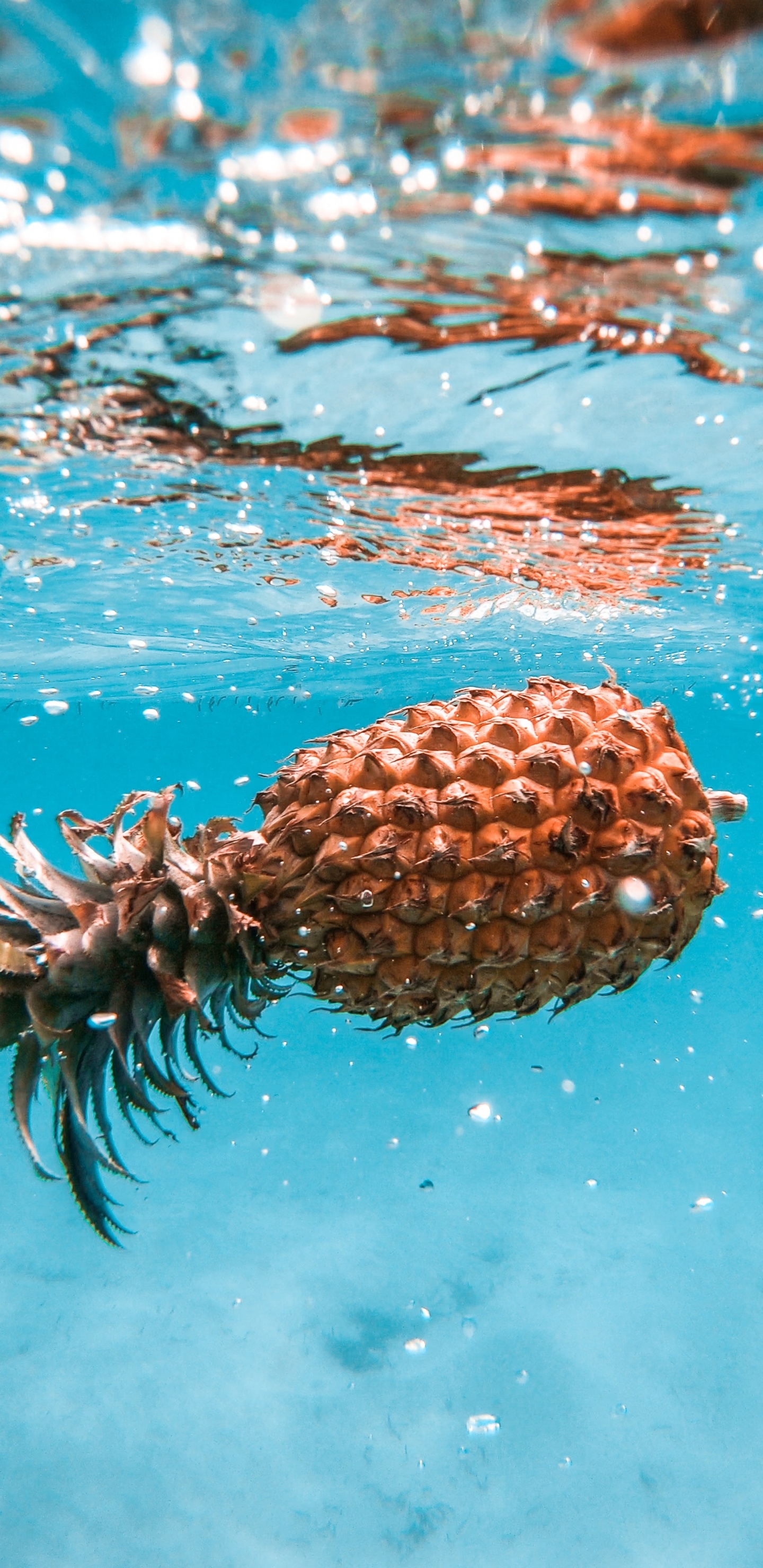 Piña, Limón, Piña Manzana, Agua, Invertebrados Marinos. Wallpaper in 1440x2960 Resolution