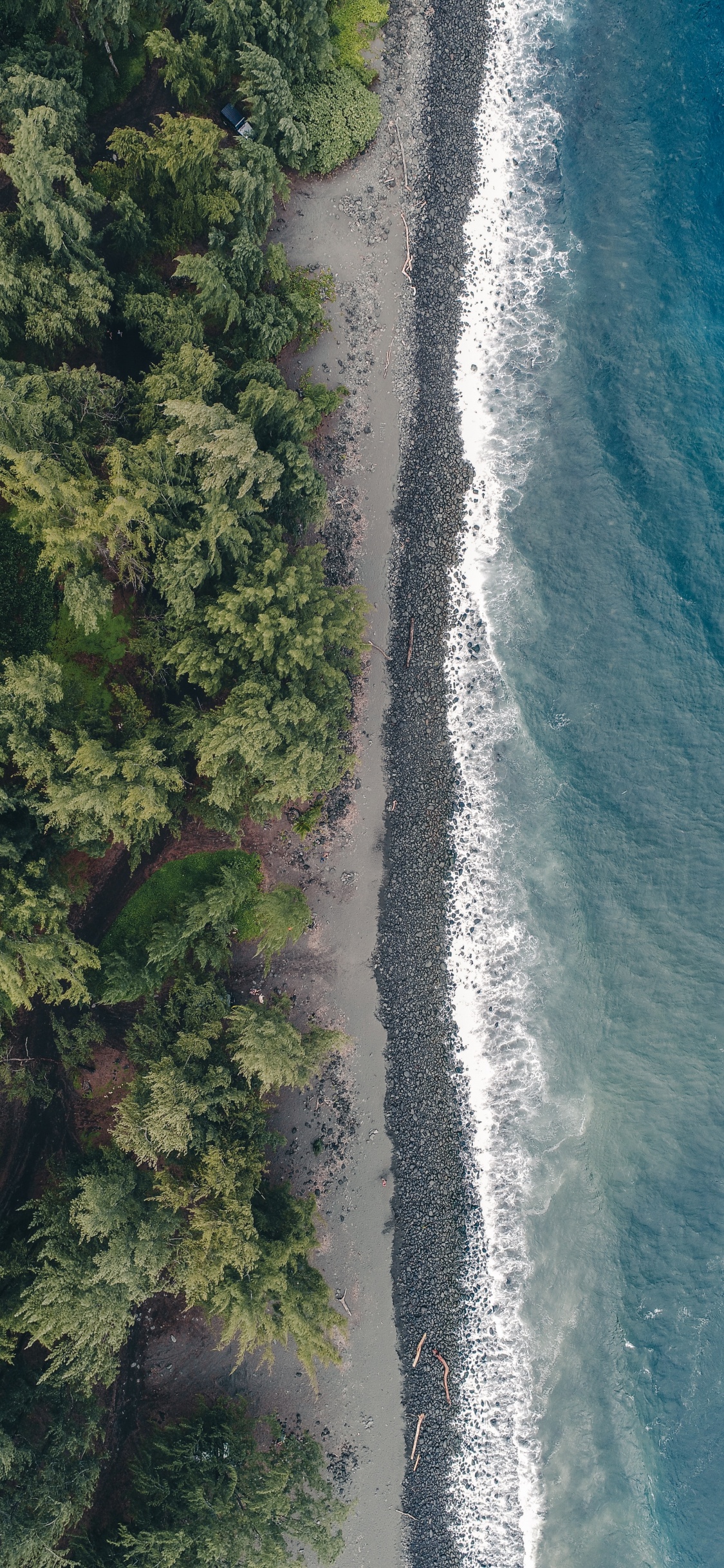 Water, Water Resources, Vegetation, Coast, Watercourse. Wallpaper in 1125x2436 Resolution