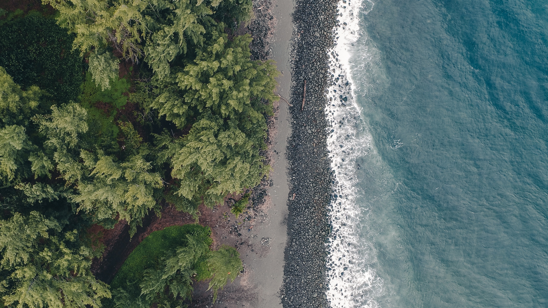 Water, Water Resources, Vegetation, Coast, Watercourse. Wallpaper in 1920x1080 Resolution