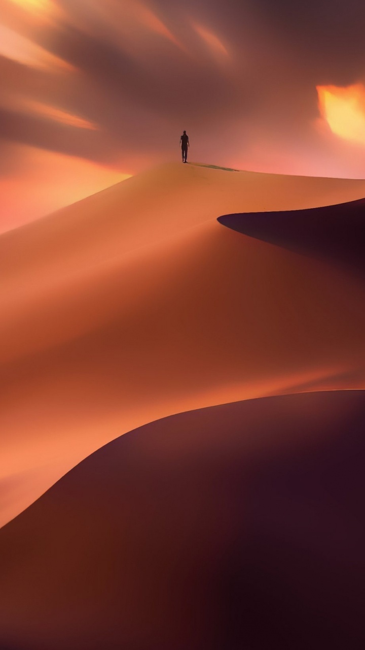 Atmosphère, L'écorégion, Lumière, Noir, Environnement Naturel. Wallpaper in 720x1280 Resolution