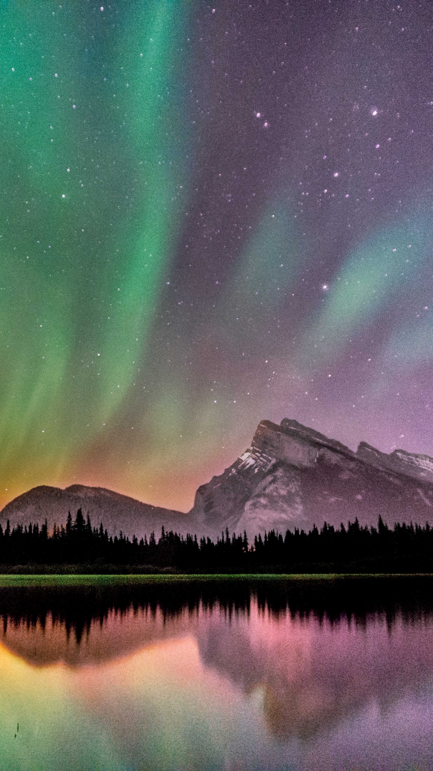Banff, Aurora, Naturaleza, Paisaje Natural, Verde. Wallpaper in 1440x2560 Resolution