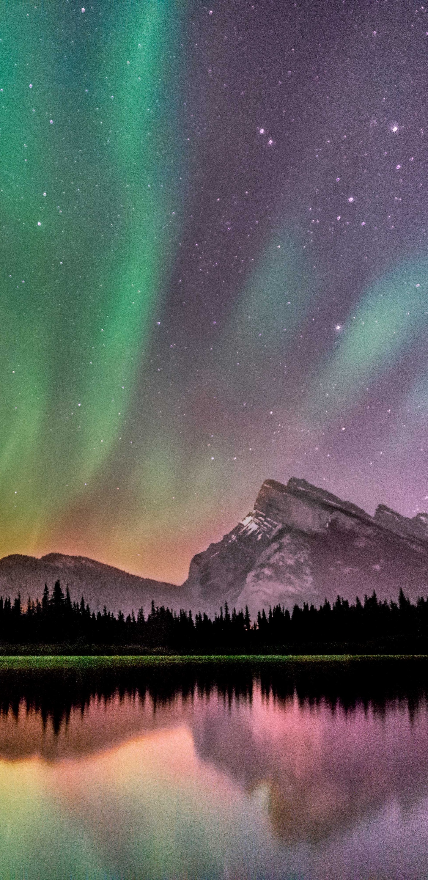 Banff, Aurora, Naturaleza, Paisaje Natural, Verde. Wallpaper in 1440x2960 Resolution