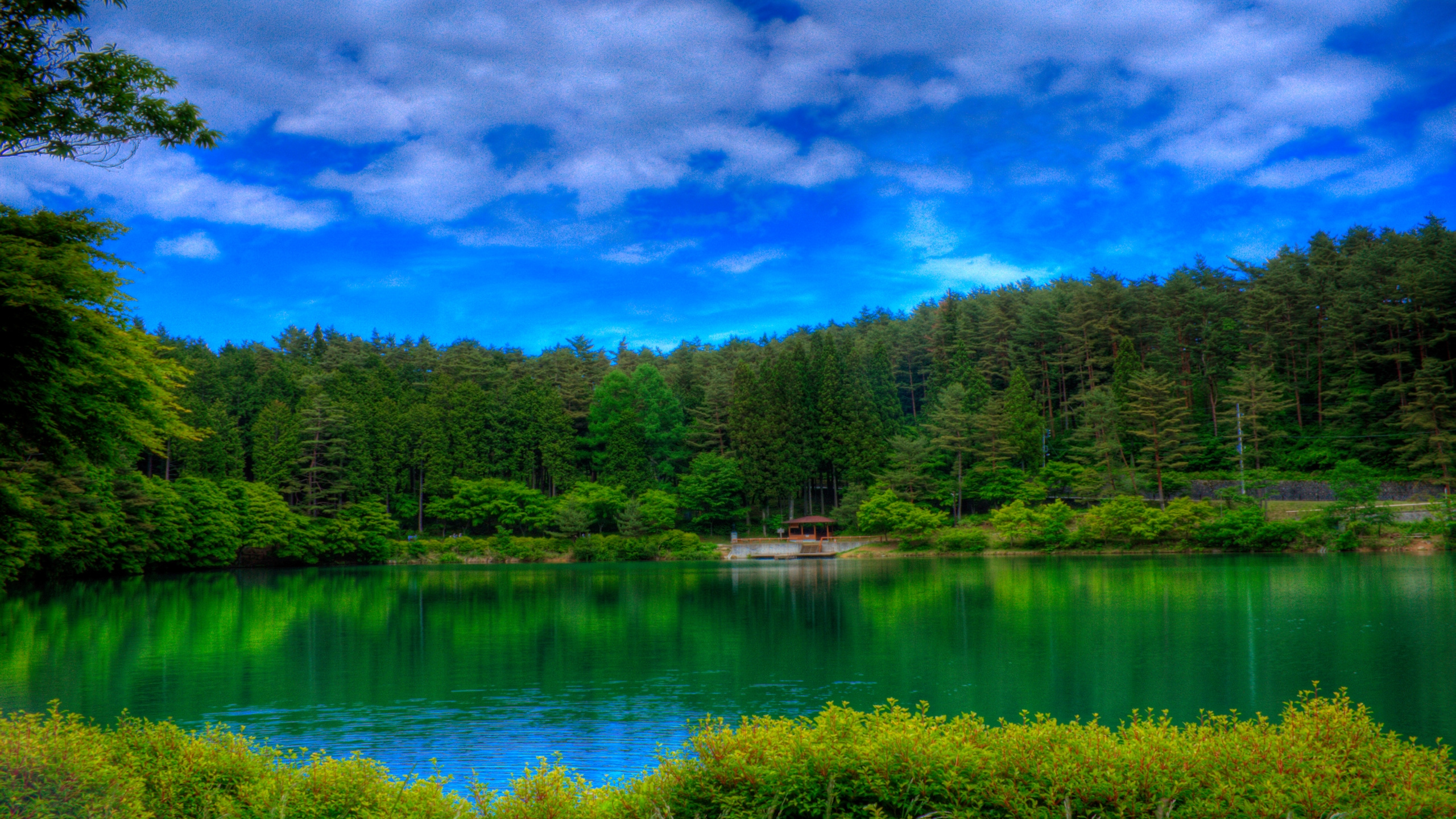 Grüne Und Rote Bäume Neben Dem Fluss Unter Blauem Himmel. Wallpaper in 2560x1440 Resolution