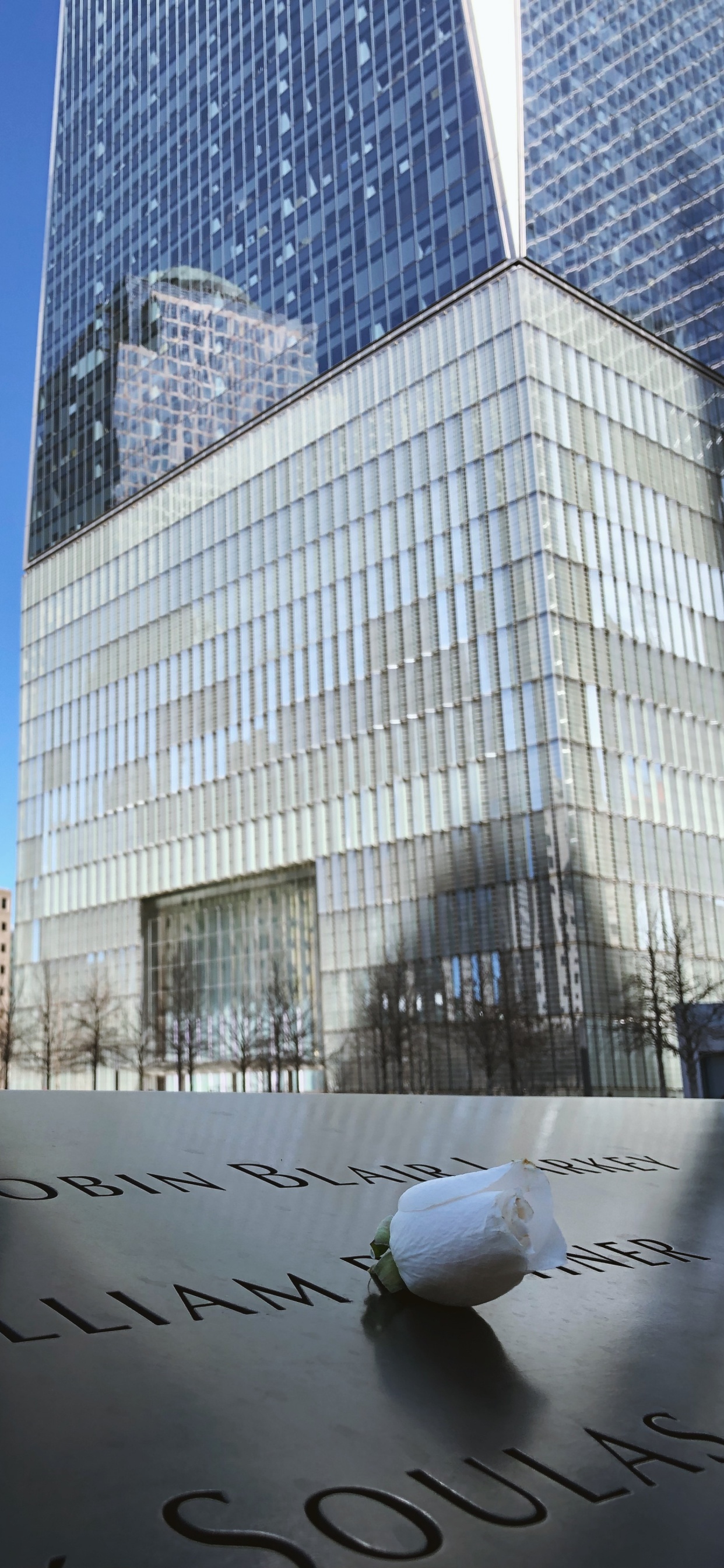 High Rise Building Near Body of Water During Daytime. Wallpaper in 1242x2688 Resolution