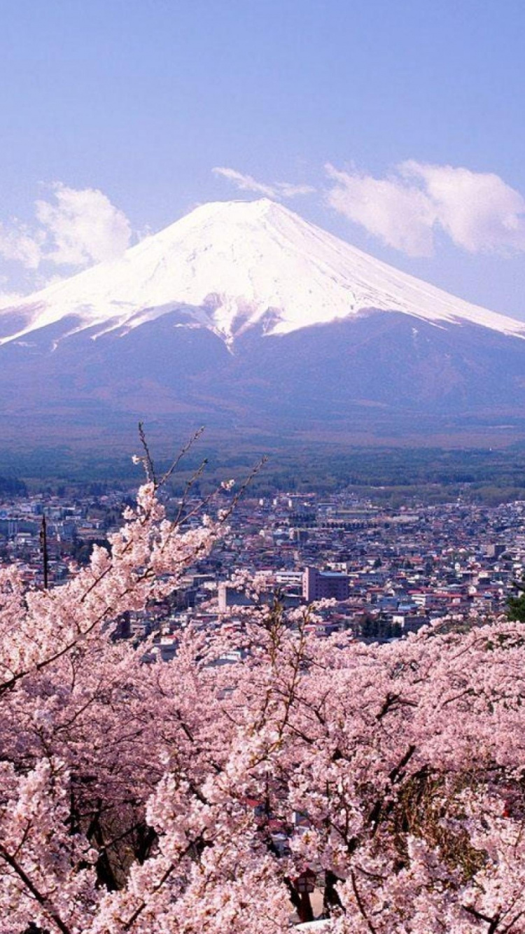Bâtiment en Béton Blanc et Rouge Près de la Montagne Sous un Ciel Bleu Pendant la Journée. Wallpaper in 750x1334 Resolution