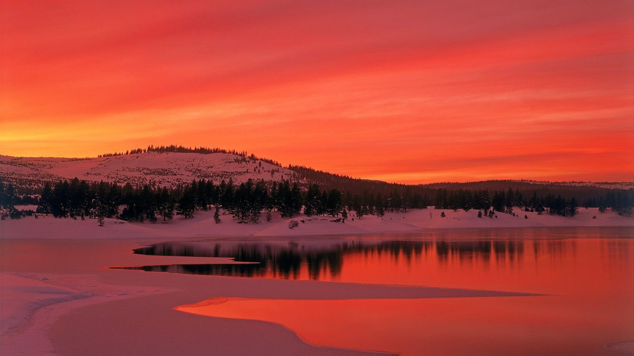 Green Trees Near Body of Water During Sunset. Wallpaper in 1280x720 Resolution