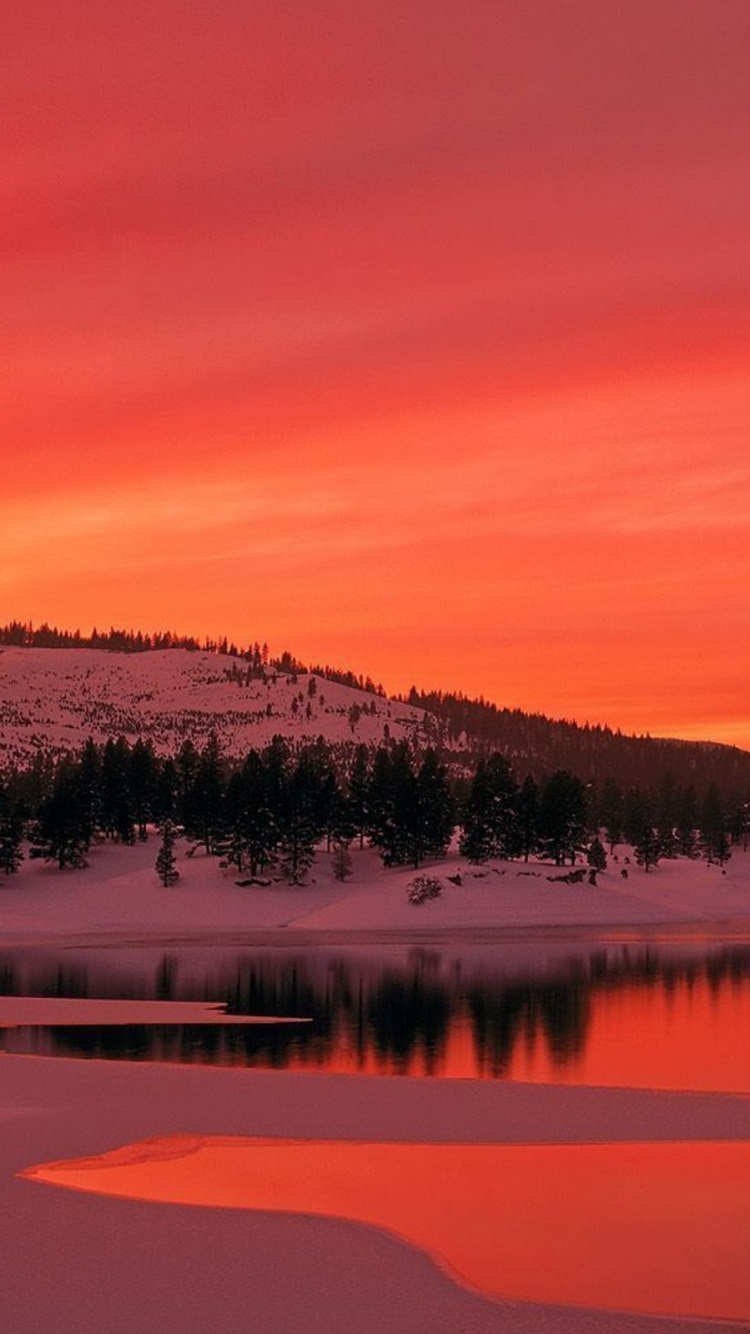 Green Trees Near Body of Water During Sunset. Wallpaper in 750x1334 Resolution