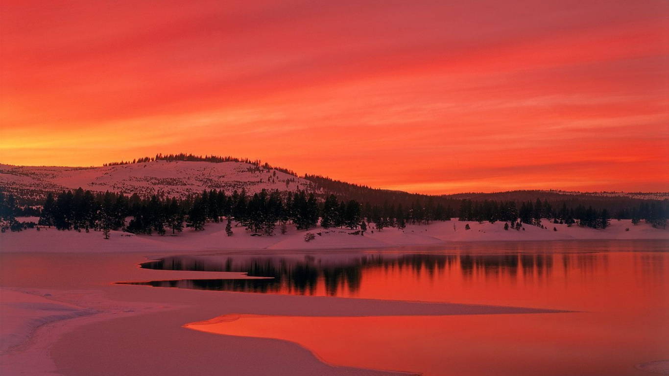 Árboles Verdes Cerca Del Cuerpo de Agua Durante la Puesta de Sol. Wallpaper in 1366x768 Resolution