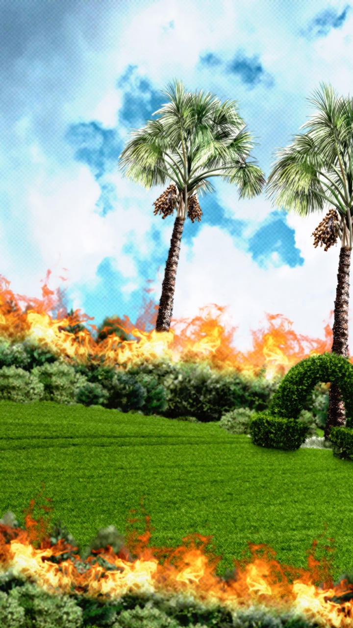 Nature, Cloud, Plant, Daytime, Plant Community. Wallpaper in 720x1280 Resolution