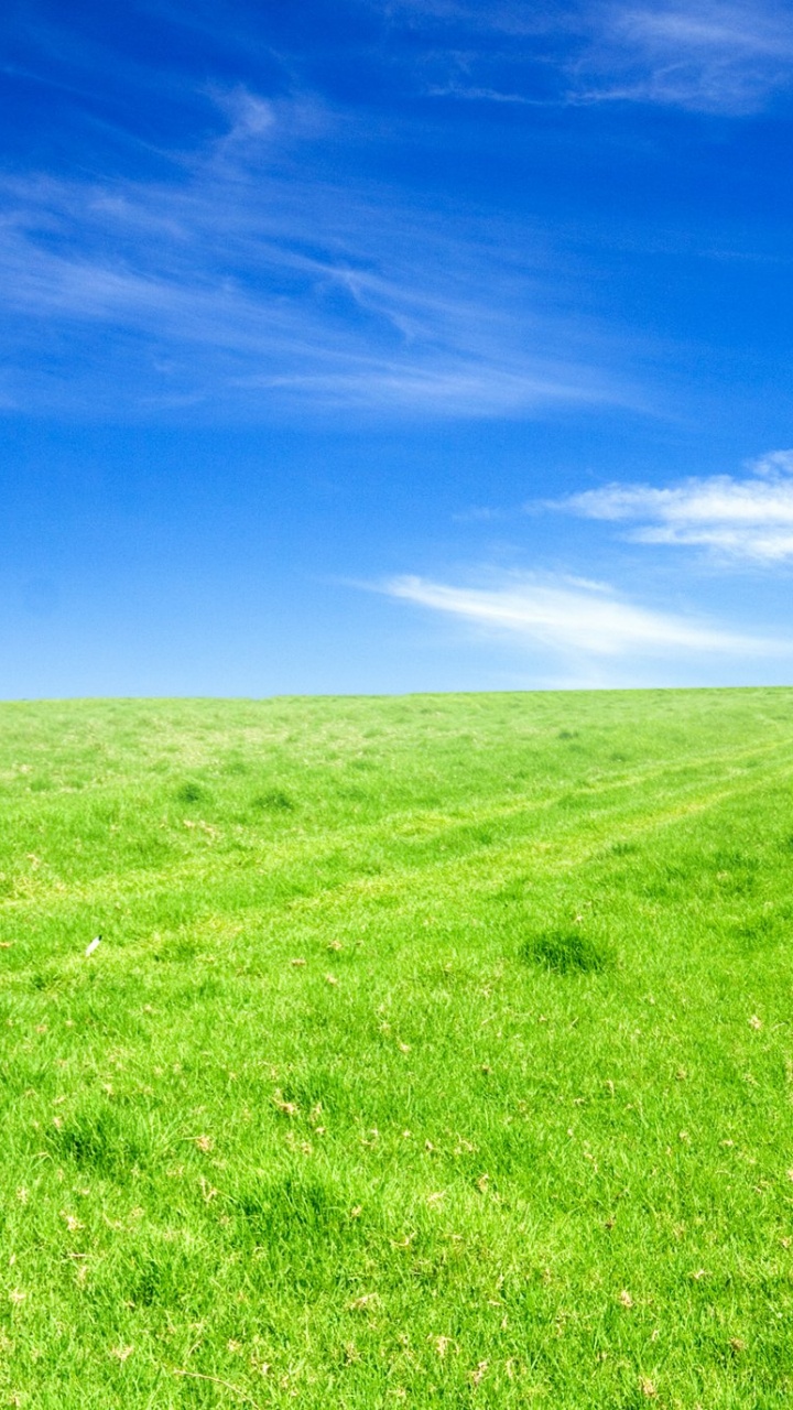 Green Grass Field Under Blue Sky During Daytime. Wallpaper in 720x1280 Resolution