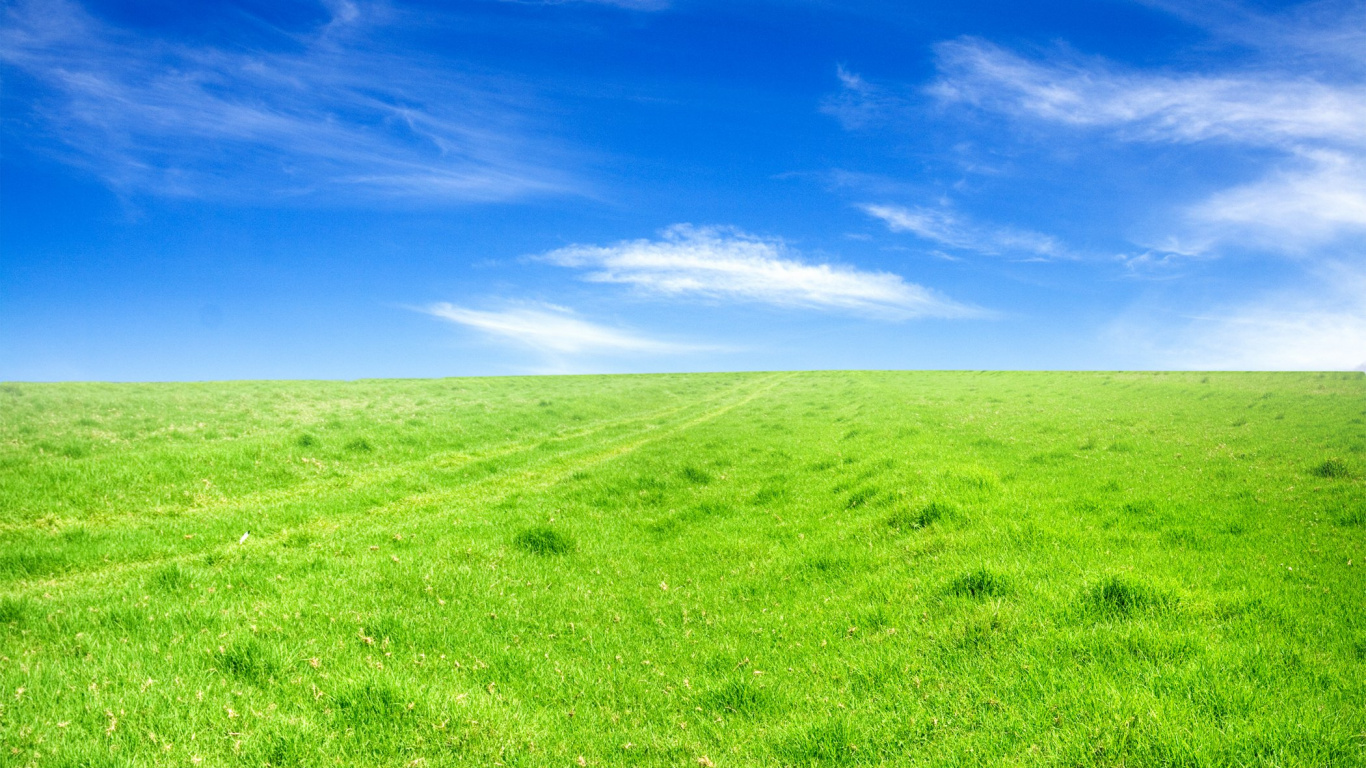 Champ D'herbe Verte Sous Ciel Bleu Pendant la Journée. Wallpaper in 1366x768 Resolution