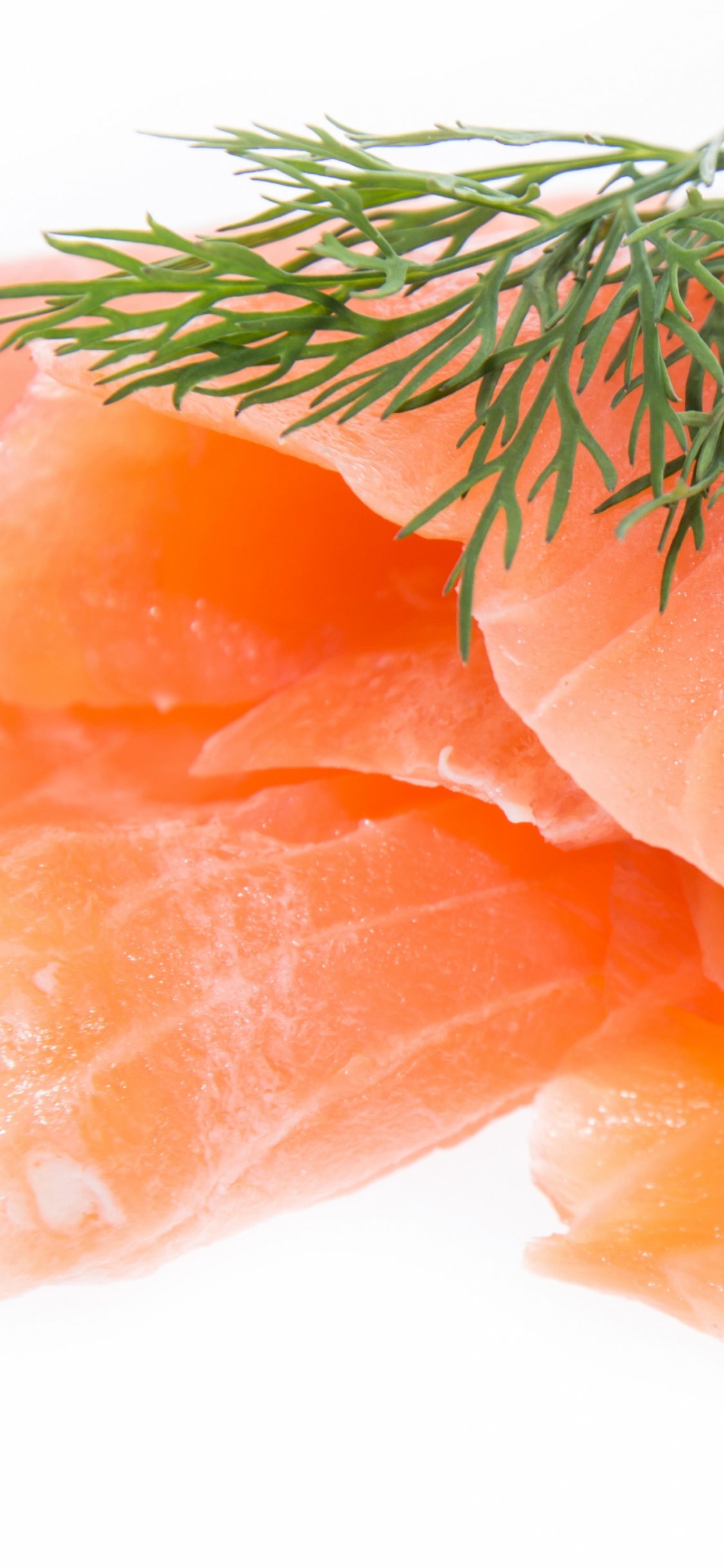 Planta Naranja y Verde Sobre Fondo Blanco.. Wallpaper in 1125x2436 Resolution