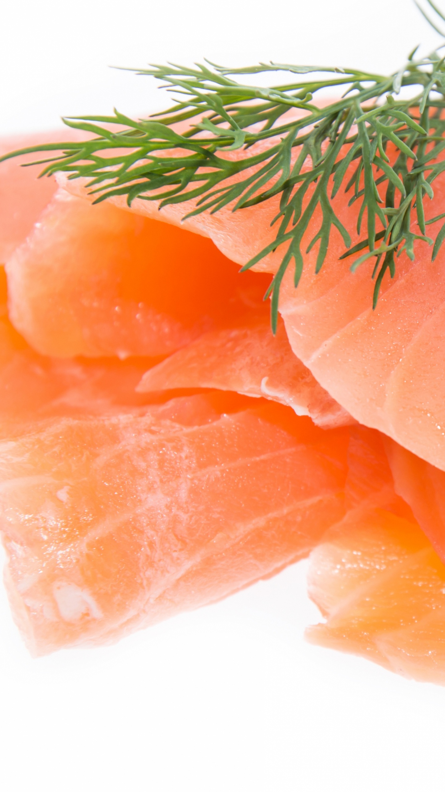 Planta Naranja y Verde Sobre Fondo Blanco.. Wallpaper in 1440x2560 Resolution