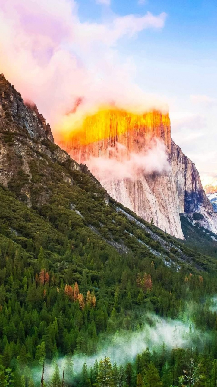Grüne Bäume in Der Nähe Des Berges Unter Blauem Himmel Tagsüber. Wallpaper in 720x1280 Resolution