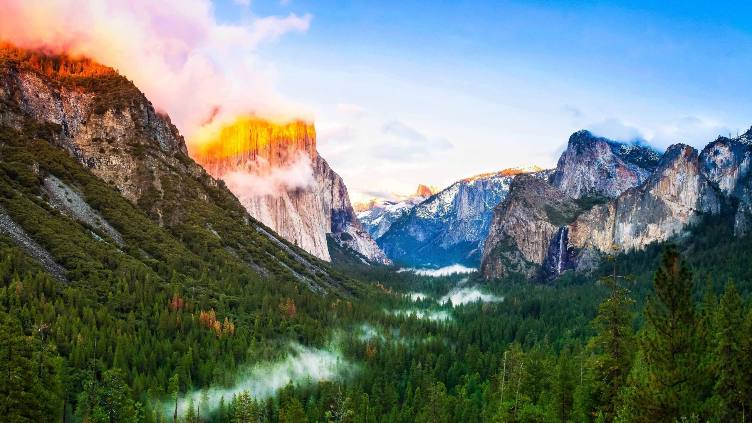 Green Trees Near Mountain Under Blue Sky During Daytime. Wallpaper in 2560x1440 Resolution