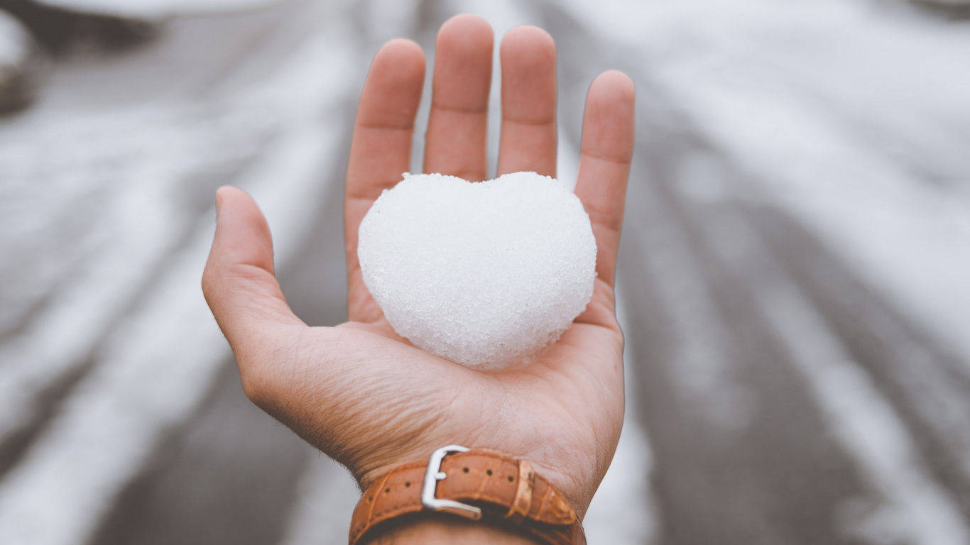 Person Holding White Cotton Ball. Wallpaper in 1366x768 Resolution