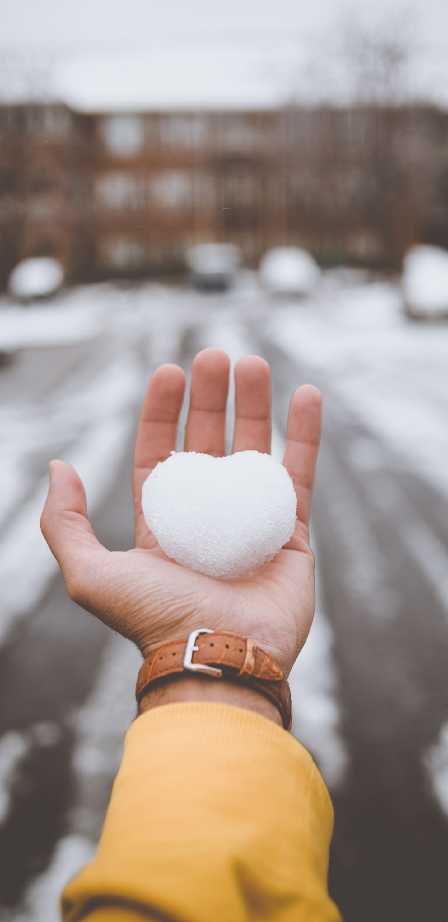 Person Holding White Cotton Ball. Wallpaper in 1440x2960 Resolution