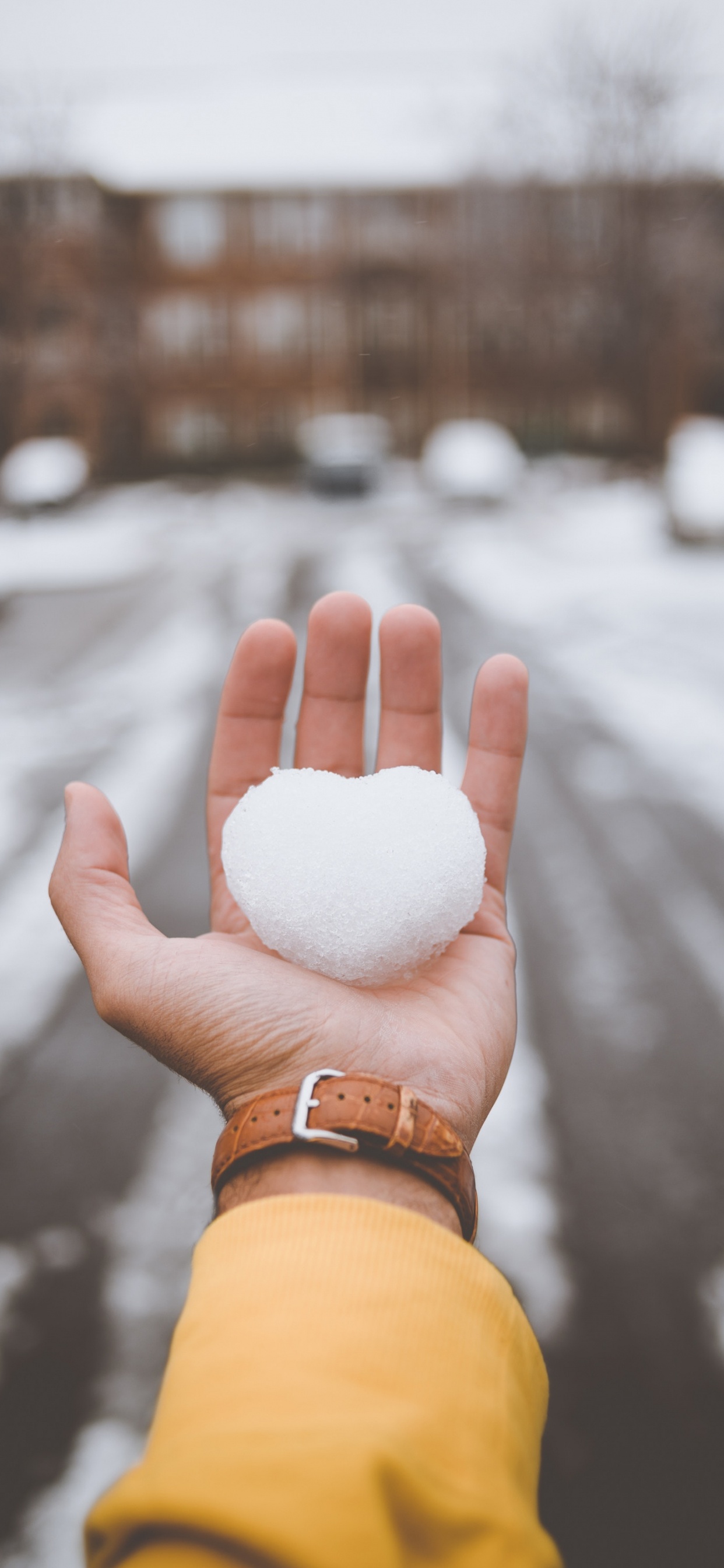 Person Mit Weißem Wattebausch. Wallpaper in 1242x2688 Resolution