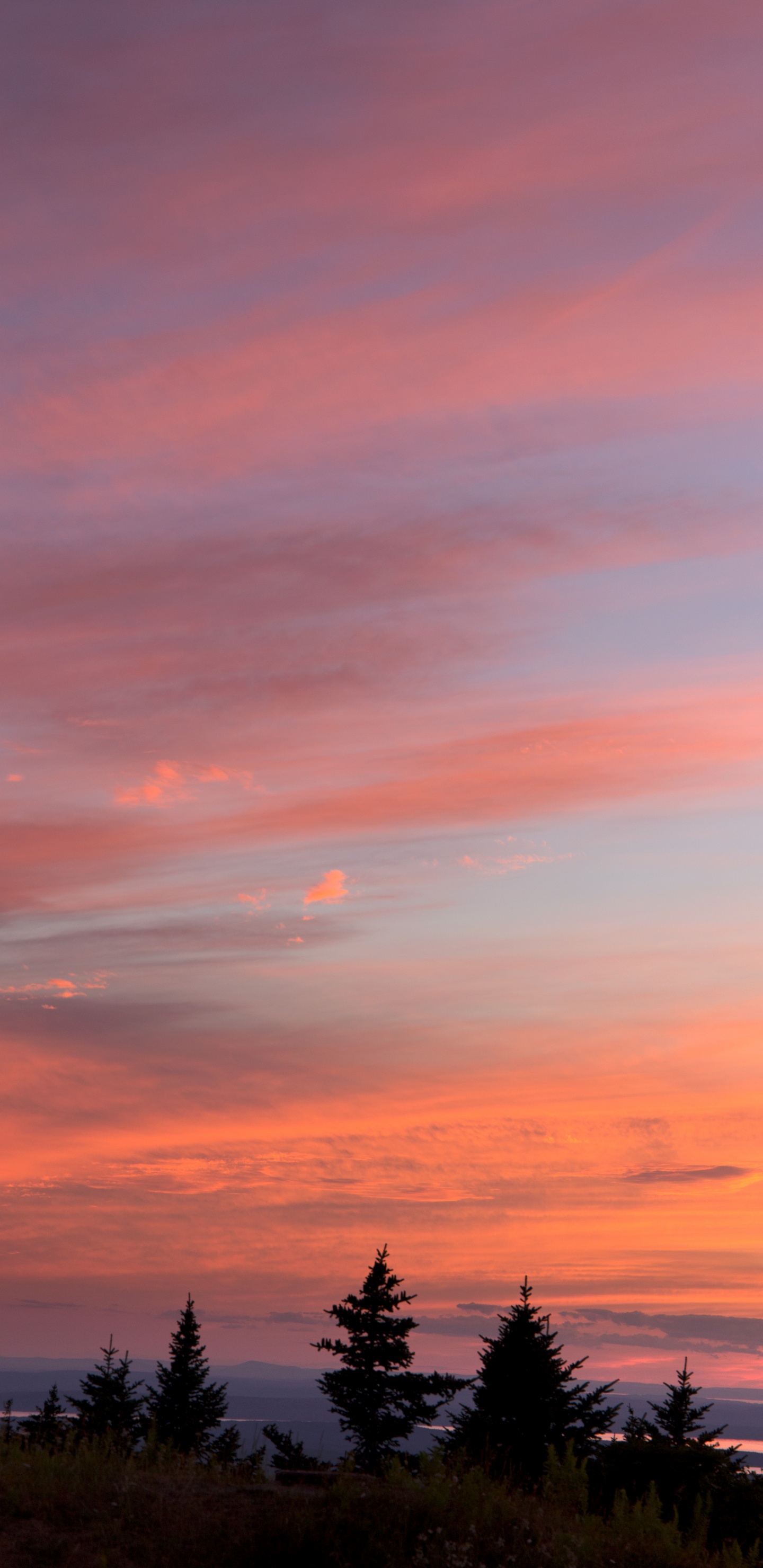 Sunset, Sunrise, Afterglow, Cloud, Horizon. Wallpaper in 1440x2960 Resolution