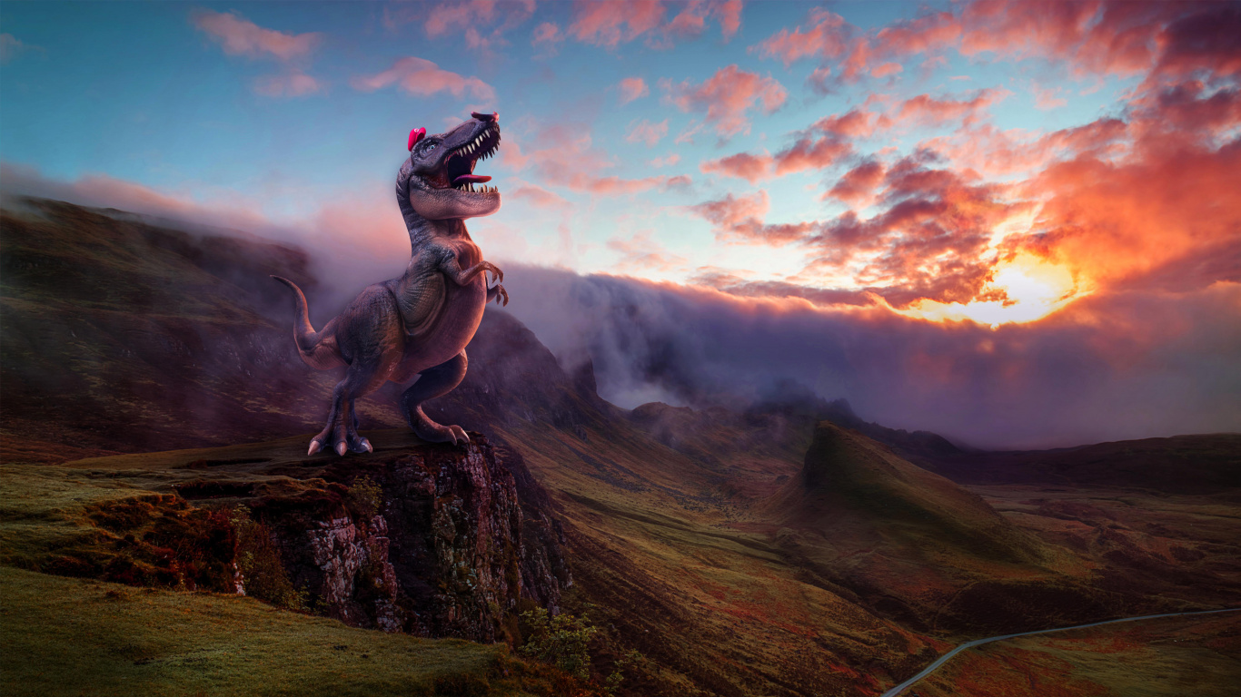 Gray Horse on Green Grass Field During Daytime. Wallpaper in 1366x768 Resolution