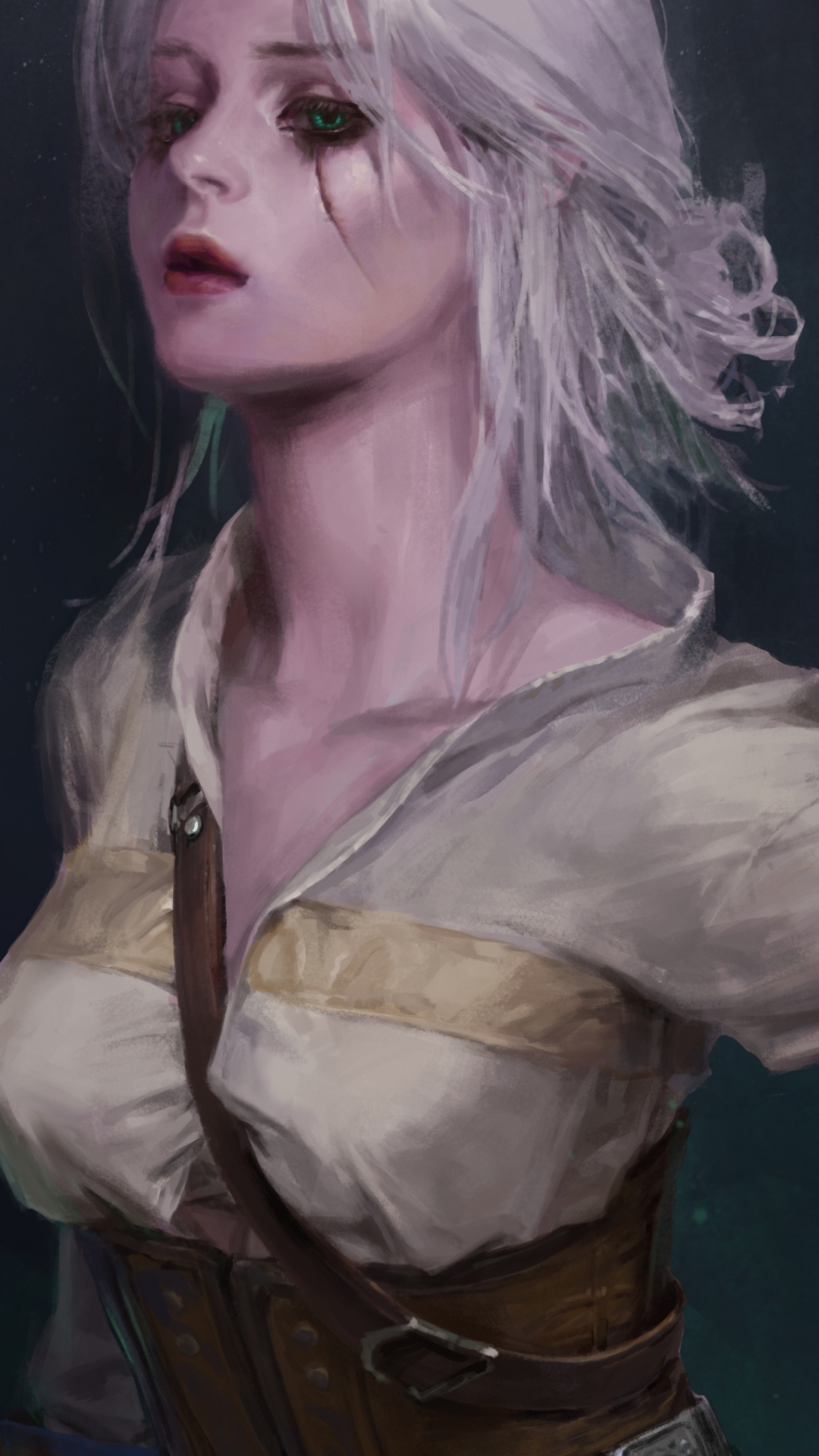 The Witcher 3 Wild Hunt, Ciri, Witcher, Yennefer, Geralt de Rivia. Wallpaper in 1080x1920 Resolution