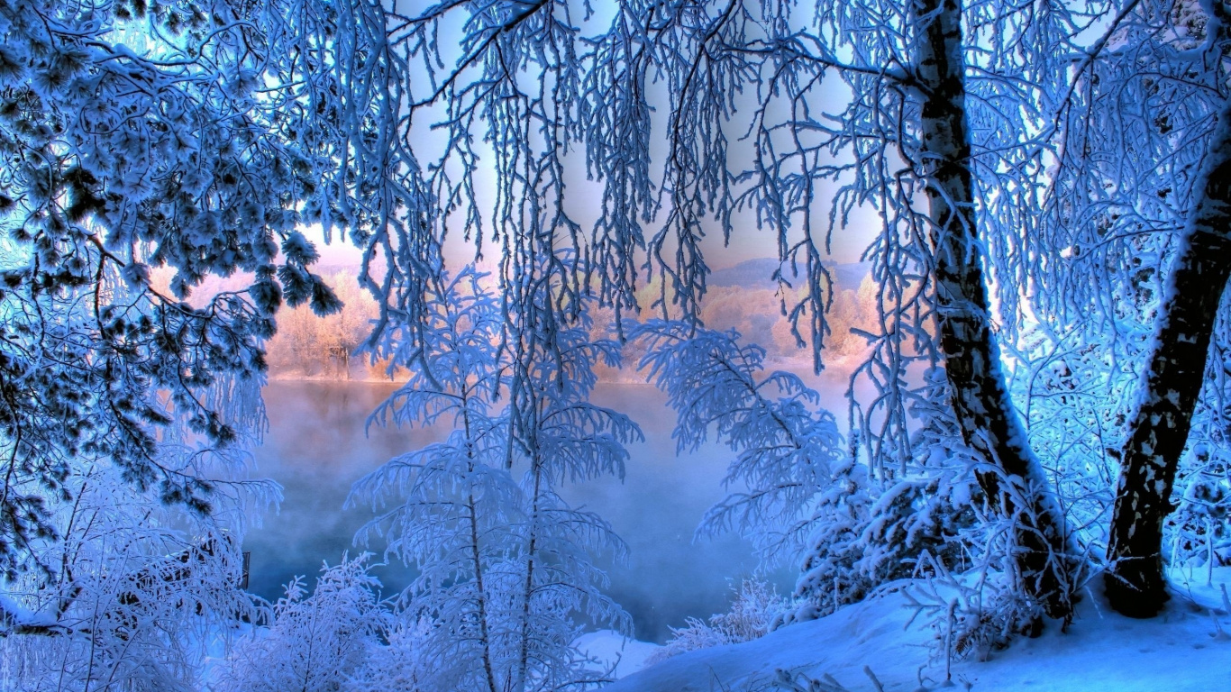 Pintura Arbol Blanco y Negro. Wallpaper in 1366x768 Resolution