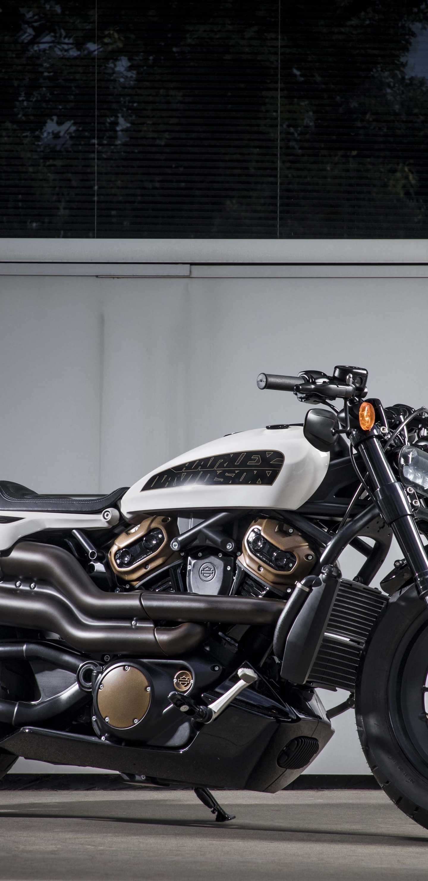 Schwarz-silbernes Sportfahrrad Auf Grauem Betonpflaster Geparkt. Wallpaper in 1440x2960 Resolution