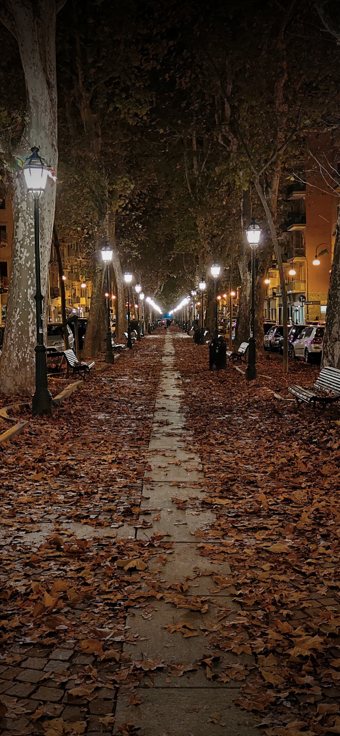 Apple, IPhone, Äpfeln, Herbstpark, Herbst. Wallpaper in 1125x2436 Resolution