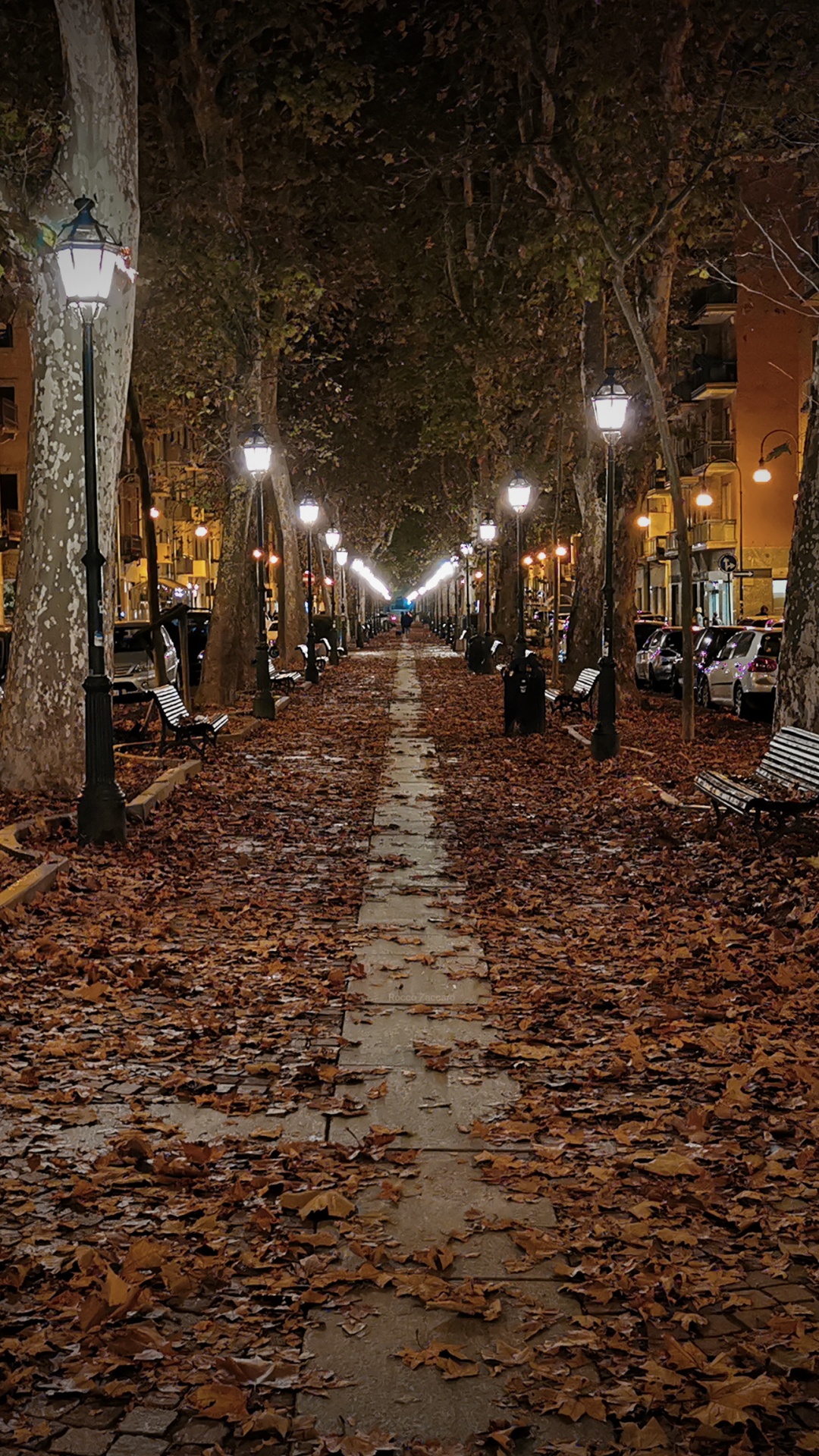 Apple, IPhone, Manzana, Parque de Otoño, la Luz de Calle. Wallpaper in 1080x1920 Resolution