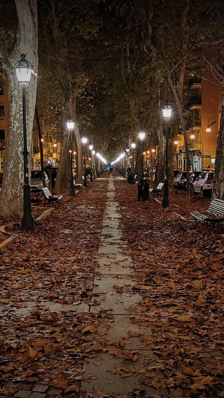 IPhone, Apple, Parc D'automne, Éclairage, Nuit. Wallpaper in 720x1280 Resolution